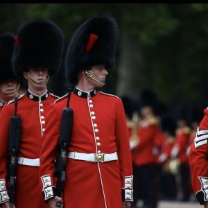 Coldstream guard 
