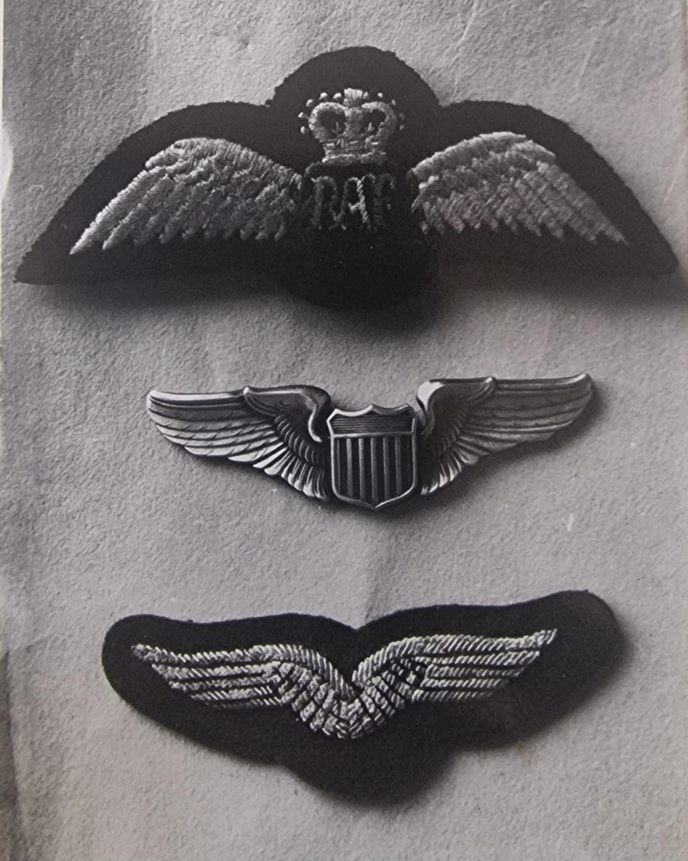 wings