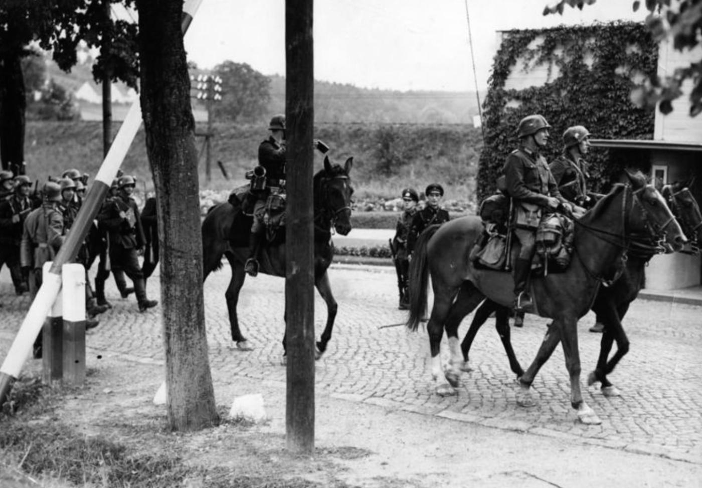 War horses