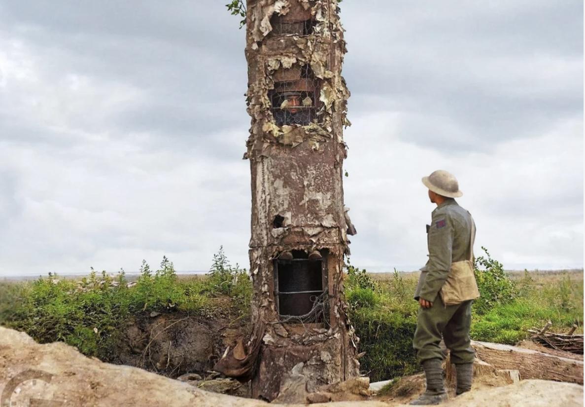 Observation tree