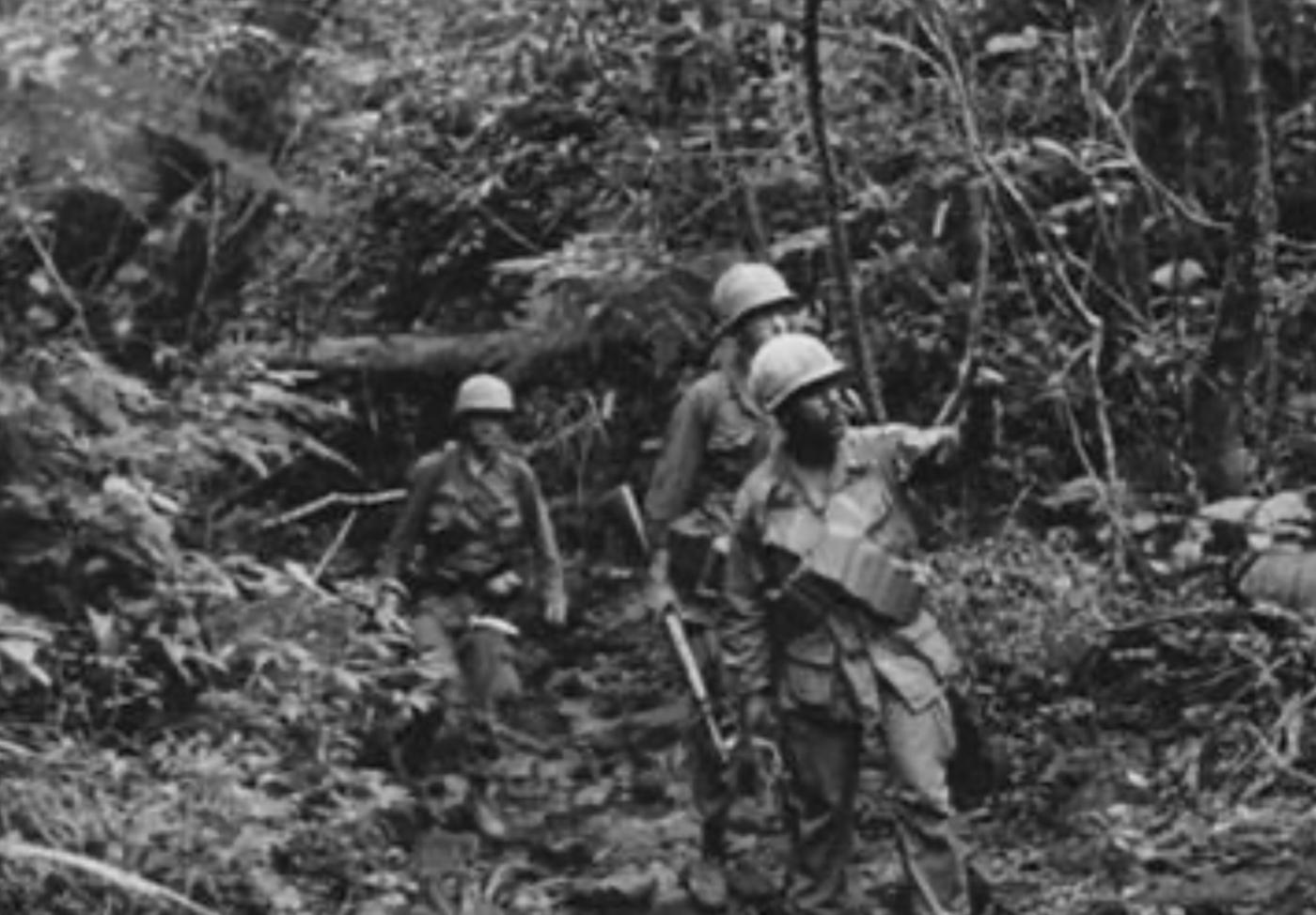 Jungle troops