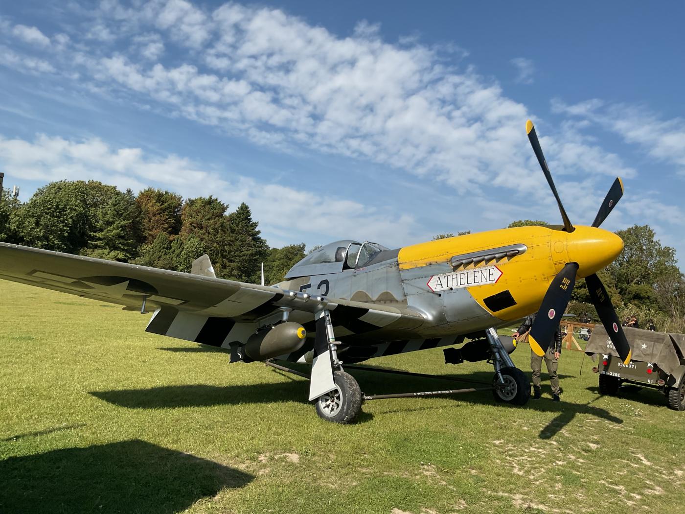 Mustang plane fighter ww2