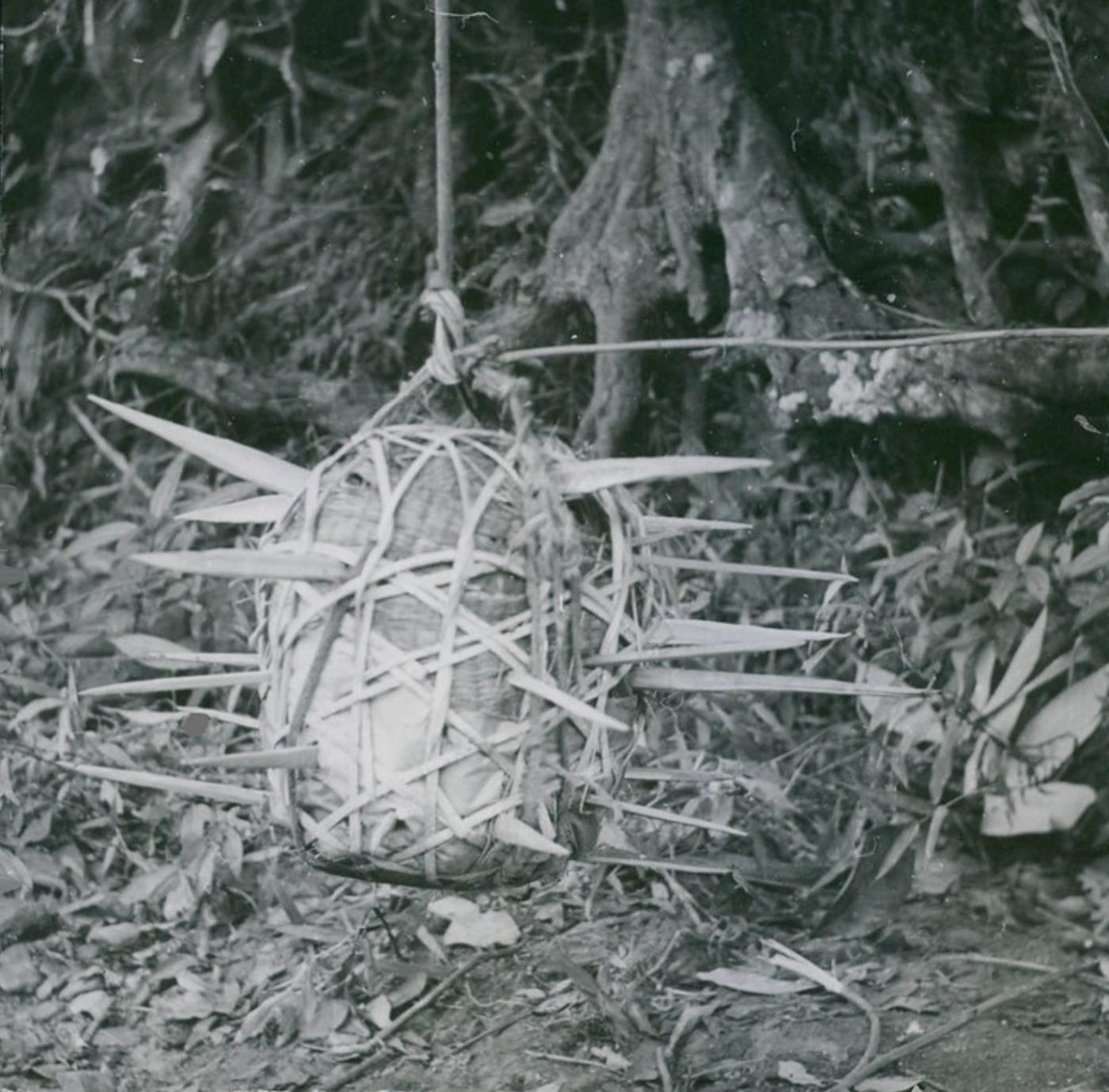 Vietnam flying mace booby trap weapon viet cong