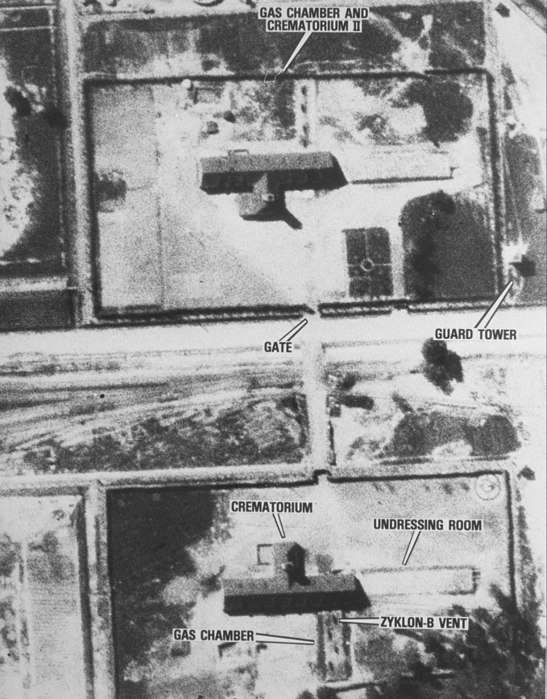 Auchwitz birkenhau 