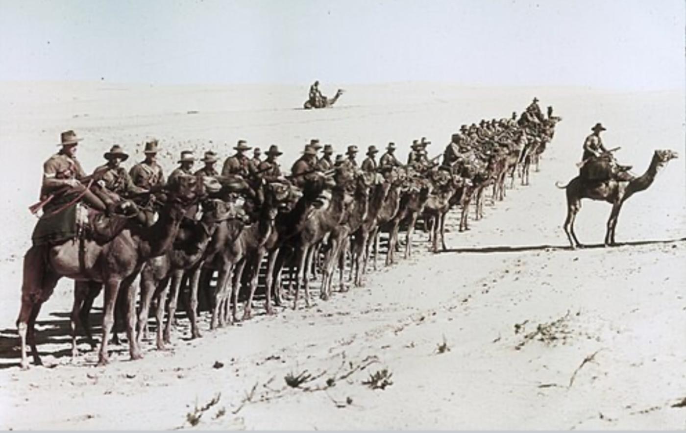 Imperial camel corps
