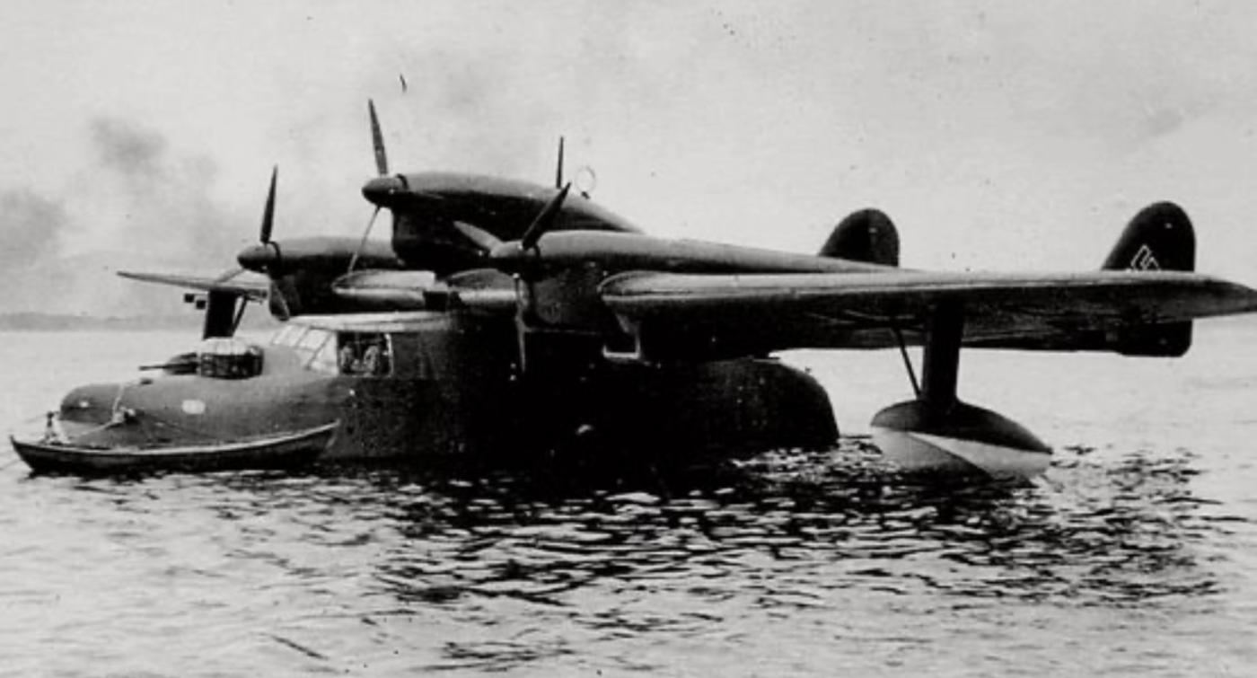 German sea dragon plane 