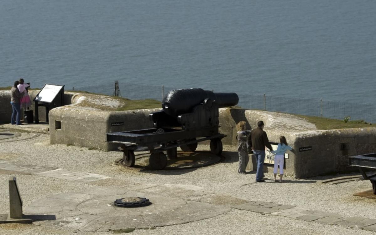Cannons
