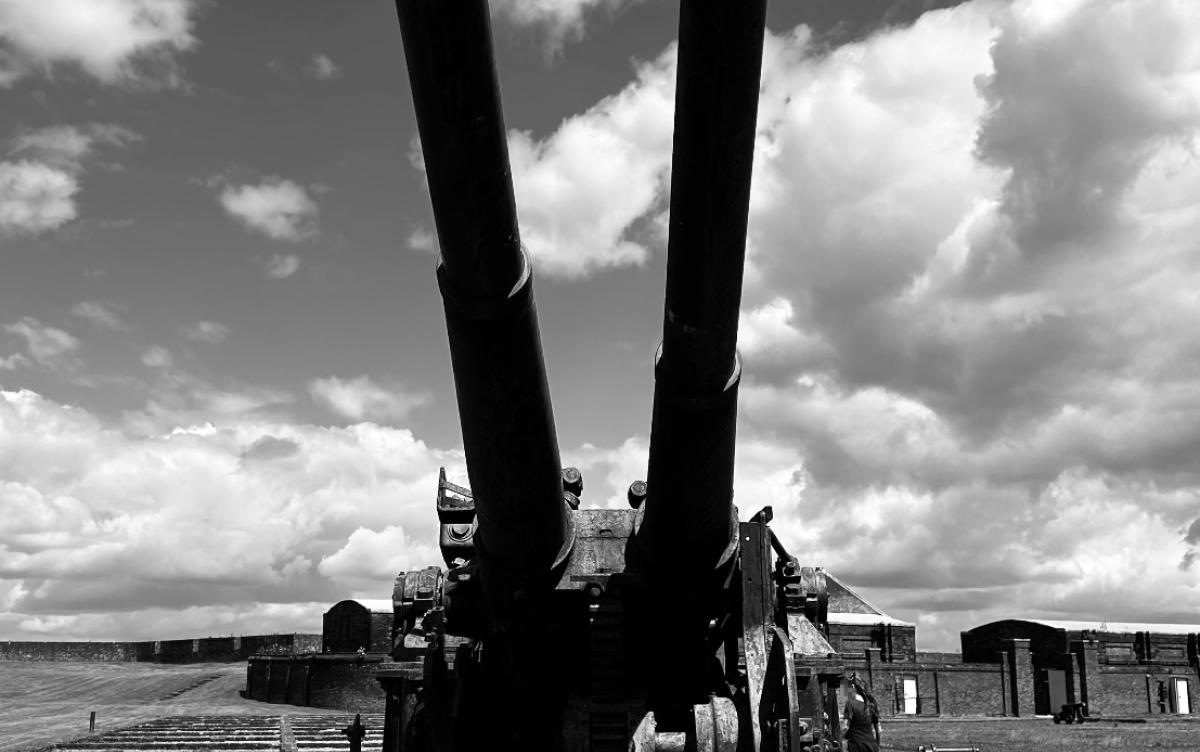 Guns