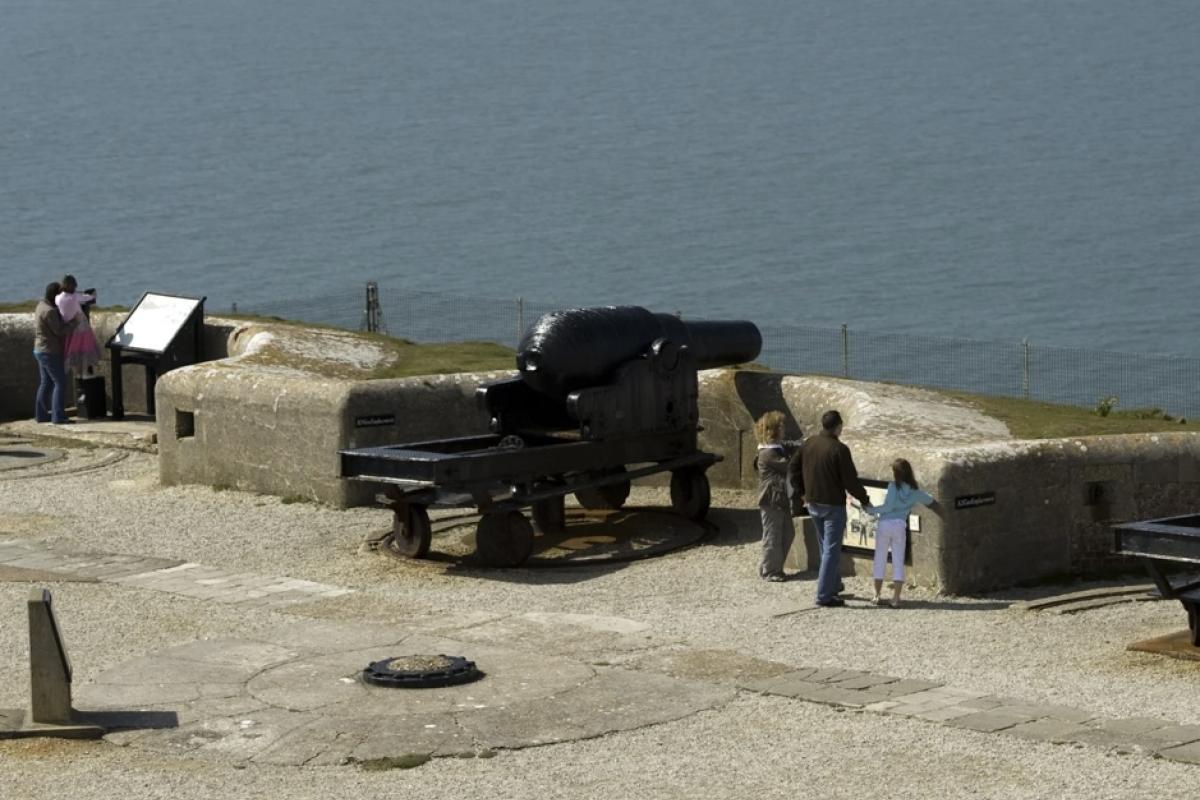 Cannons