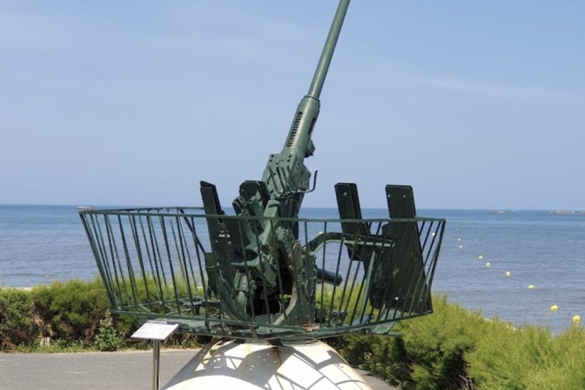 Anti aircraft gun 