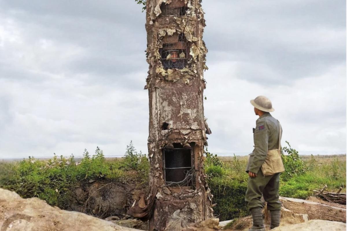 Observation tree