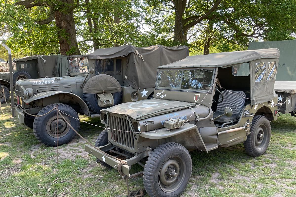 Jeeps