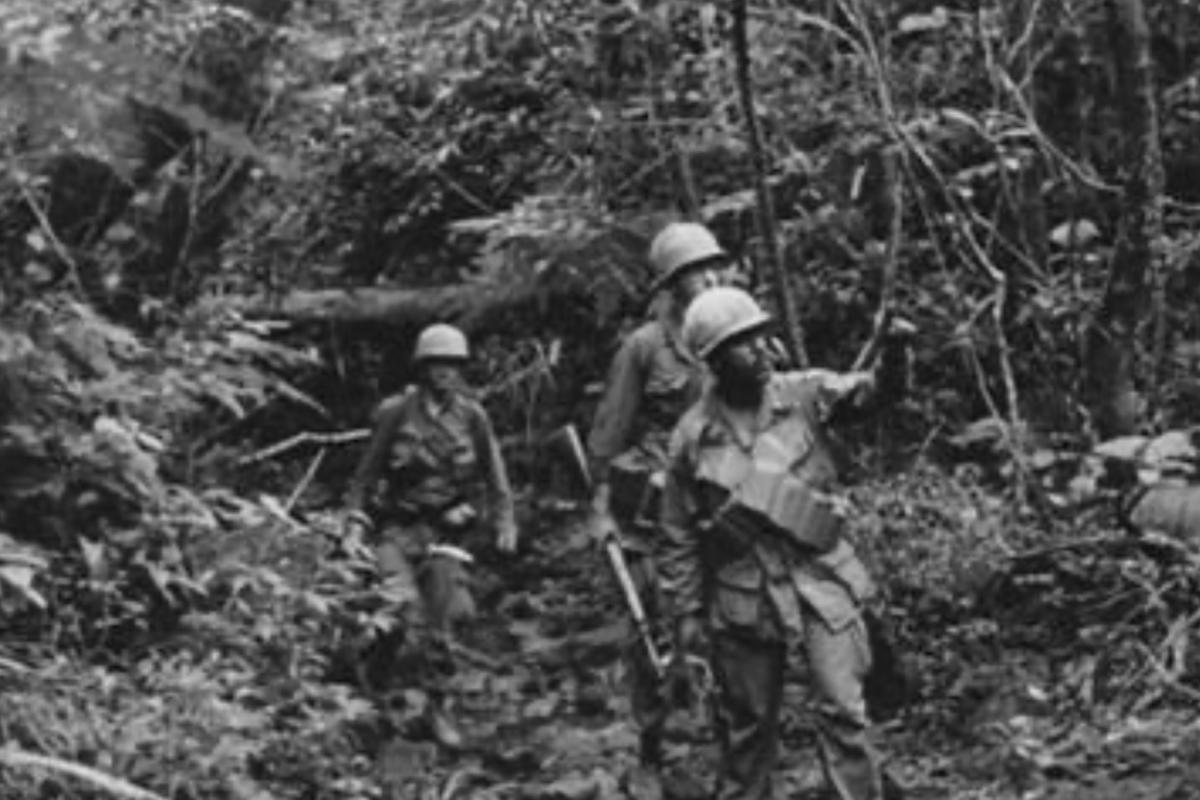 Jungle troops 