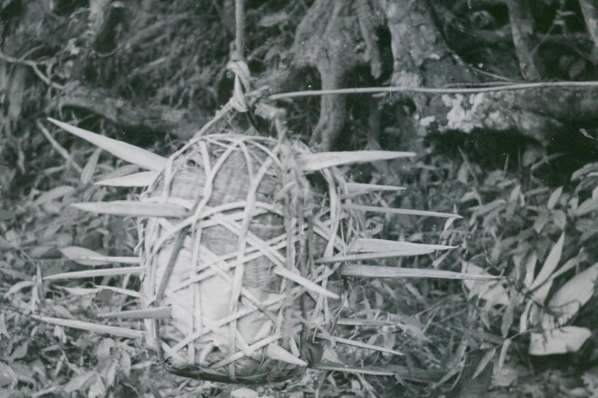 Vietnam flying mace booby trap weapon viet cong