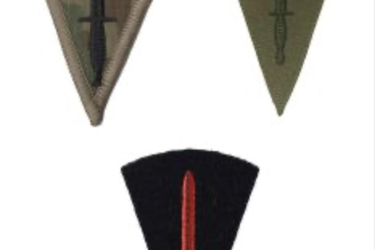 Royal Marines commando badge 