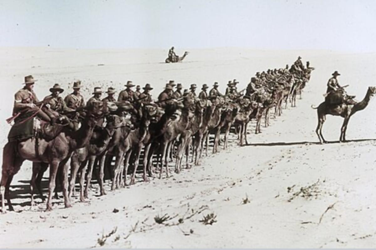Imperial camel corps