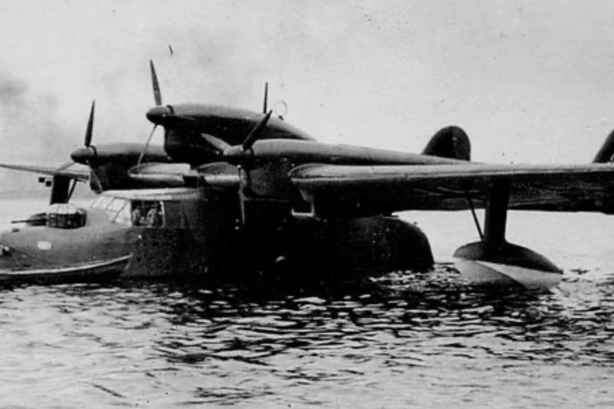 German sea dragon plane 