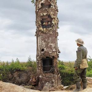 Tree surveillance 