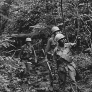 Jungle troops 