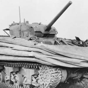 Swimming tank