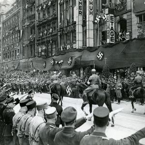 Nazi brown shirts