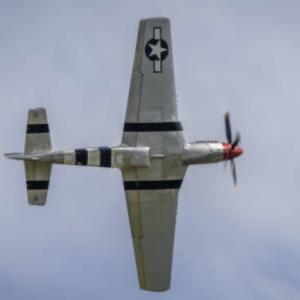 Mustang plane
