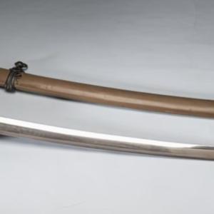 Military sword shin gun to