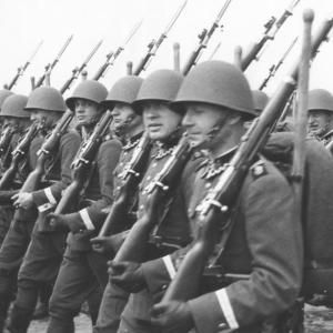 Polish military helmet helm we.31 ww2 soldier army