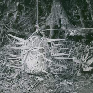 Vietnam flying mace booby trap weapon viet cong