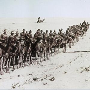 Imperial camel corps