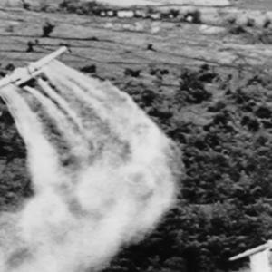 Spreading agent orange 