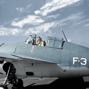 Butch o hare f4f wildcat us plane 