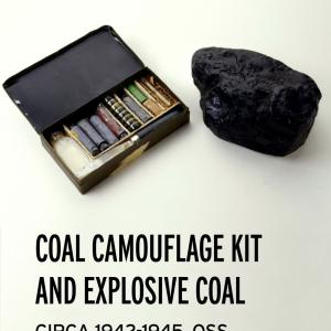 Sabotage coal