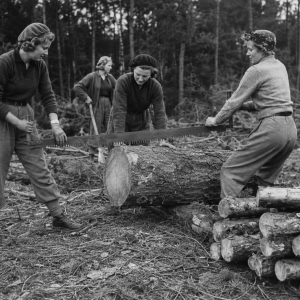 Lumber Jill’s woman’s timber corp