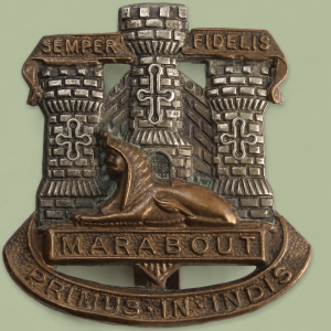 Devon and dorsets regiments cap badge 