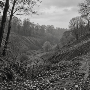 Babyn yar massacre rivine Kiev
