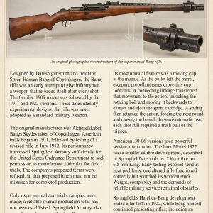 Danish bang rifle 